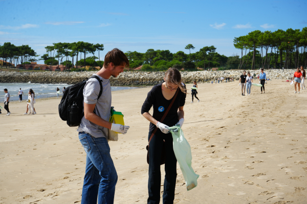 Collecte de déchets sur une plage par les équipes de la LPO et des bénévoles